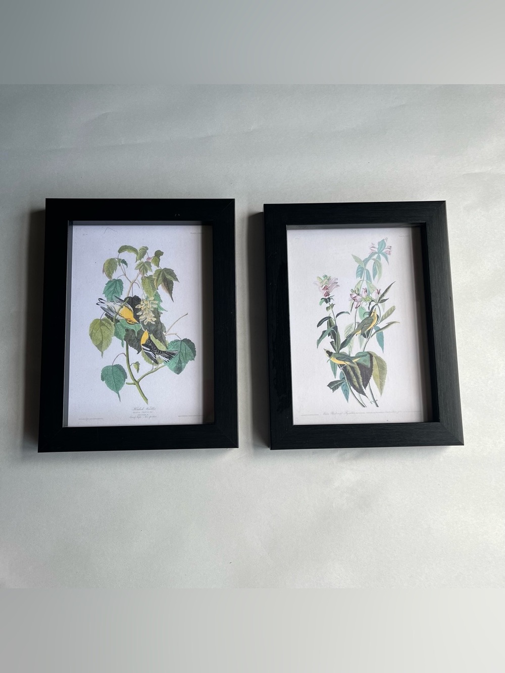 Black Wood Picture Photo Frames w/ Fine Art Prints-Set of 2
